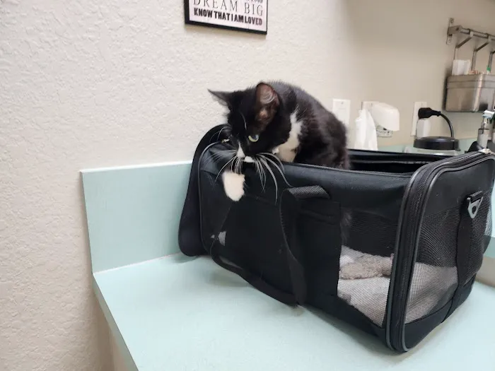 Lakeland Veterinary Hospital & Wellness Center 12