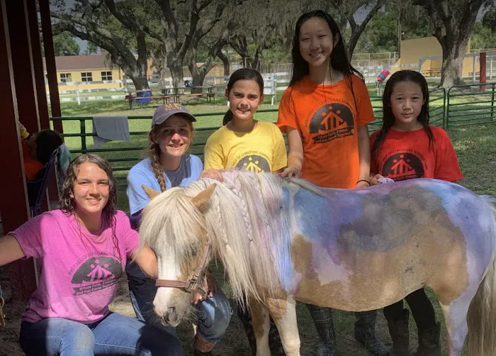Brandon Equine Medical Center 2