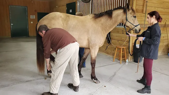Brandon Equine Medical Center 1