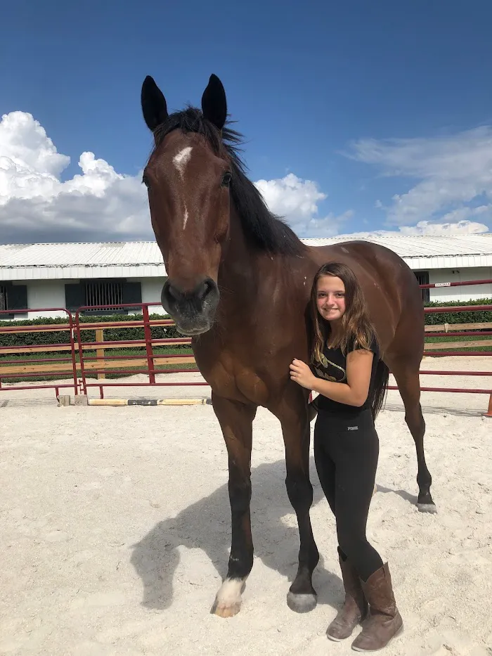 Brandon Equine Medical Center 5