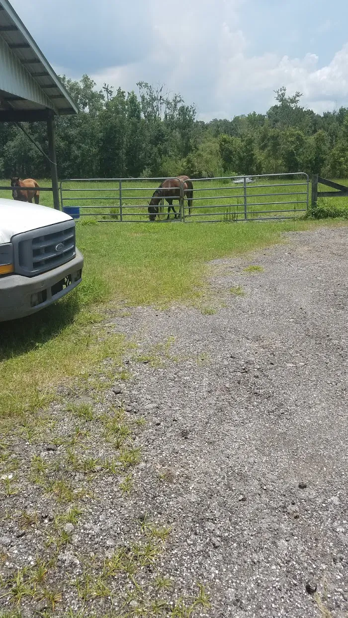 Crystal Springs Veterinary Clinic, PA 12