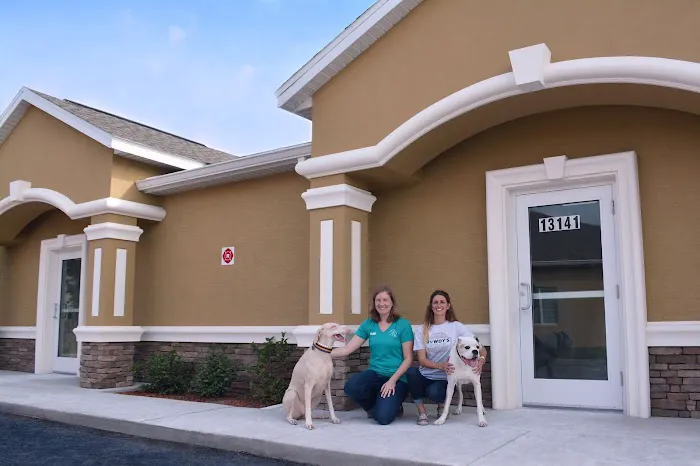 Family Animal Hospital 12