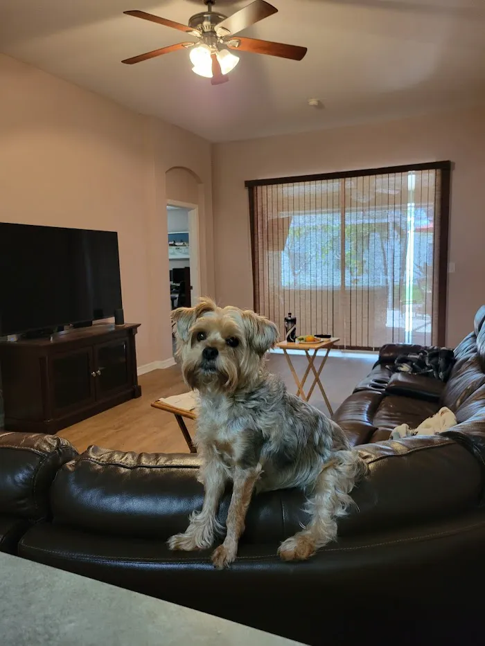 Family Animal Hospital 12