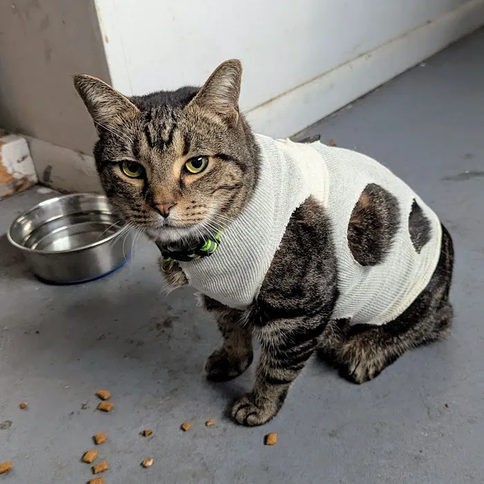 Parkway Veterinary Emergency Clinic 12
