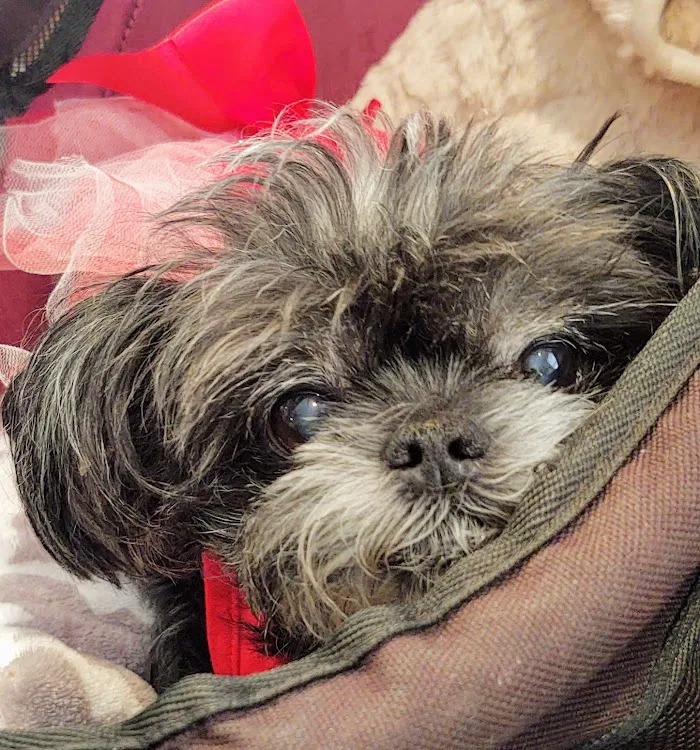 Parkway Veterinary Emergency Clinic 12