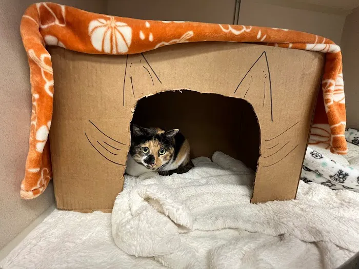 Parkway Veterinary Emergency Clinic 12