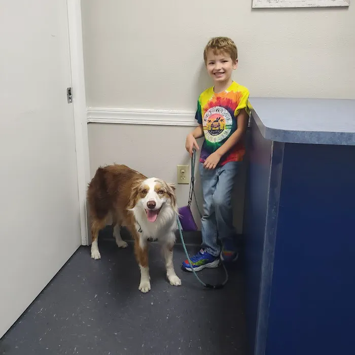 Plant City Animal Hospital 12