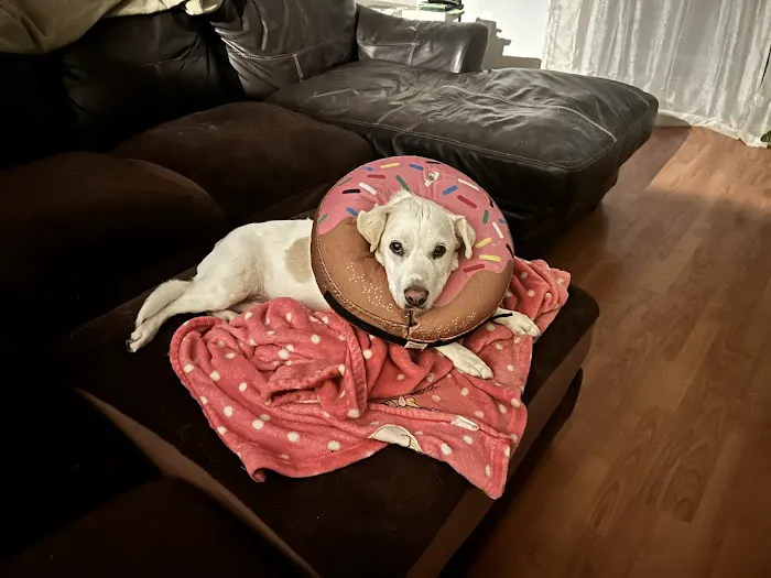 Plant City Animal Hospital 12