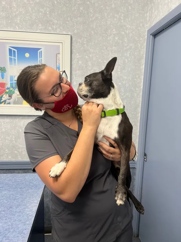Plant City Animal Hospital 12