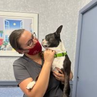 Plant City Animal Hospital ico