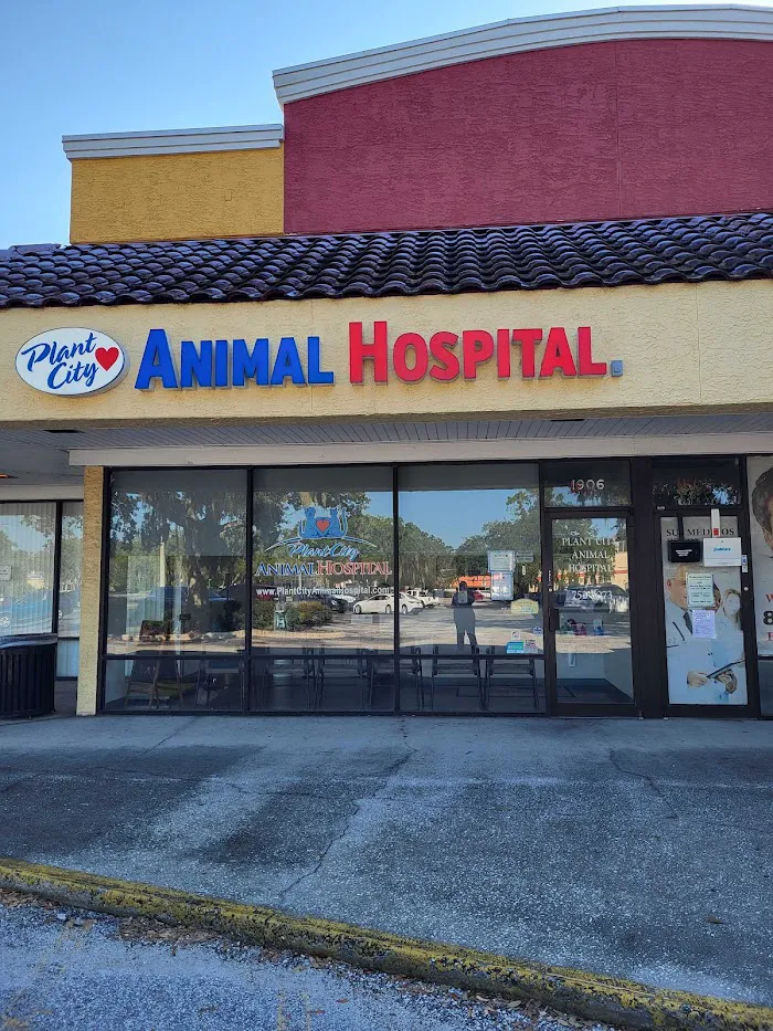 Plant City Animal Hospital 12