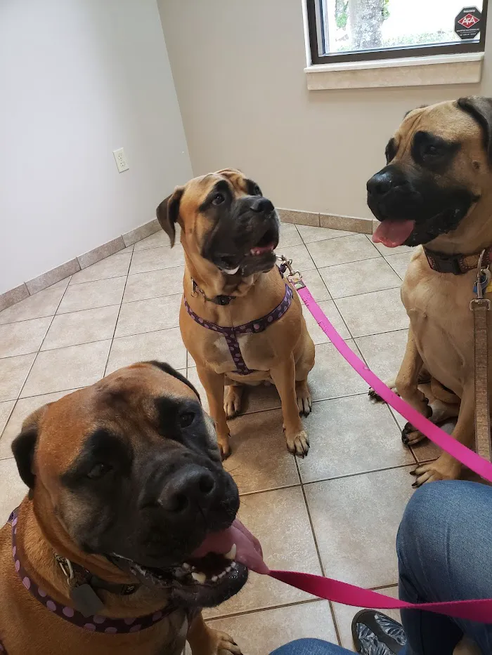 Animal Hospital at Vista Lakes 12