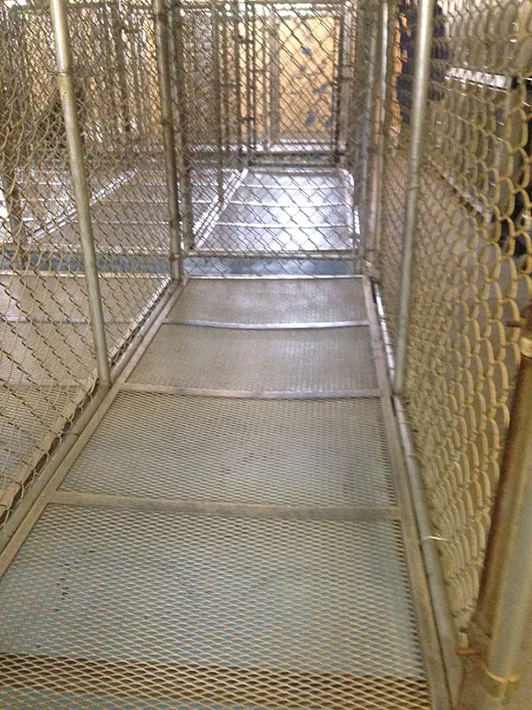 Curry Ford Animal Hospital 4