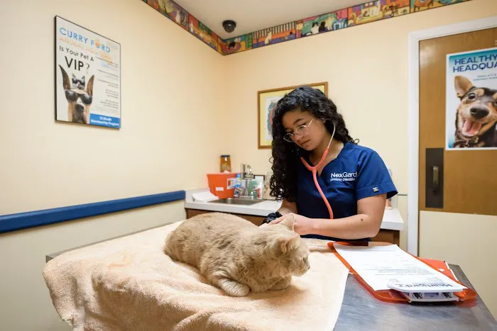 Curry Ford Animal Hospital 8