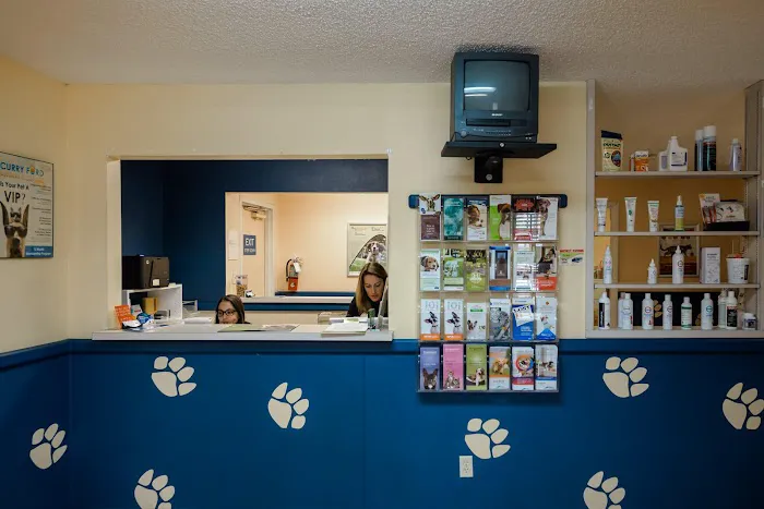 Curry Ford Animal Hospital 5