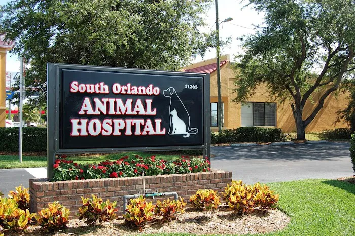 South Orlando Animal Hospital 5