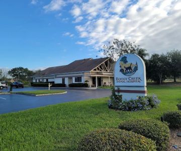 Flora Family Vet, previously Boggy Creek Animal Hospital!