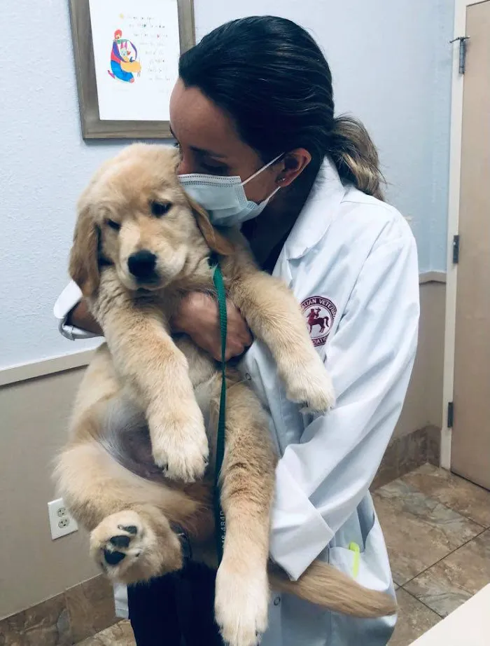 Flora Family Vet, previously Boggy Creek Animal Hospital! 7