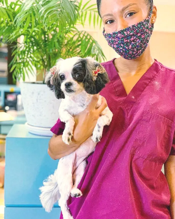 Flora Family Vet, previously Boggy Creek Animal Hospital! 8