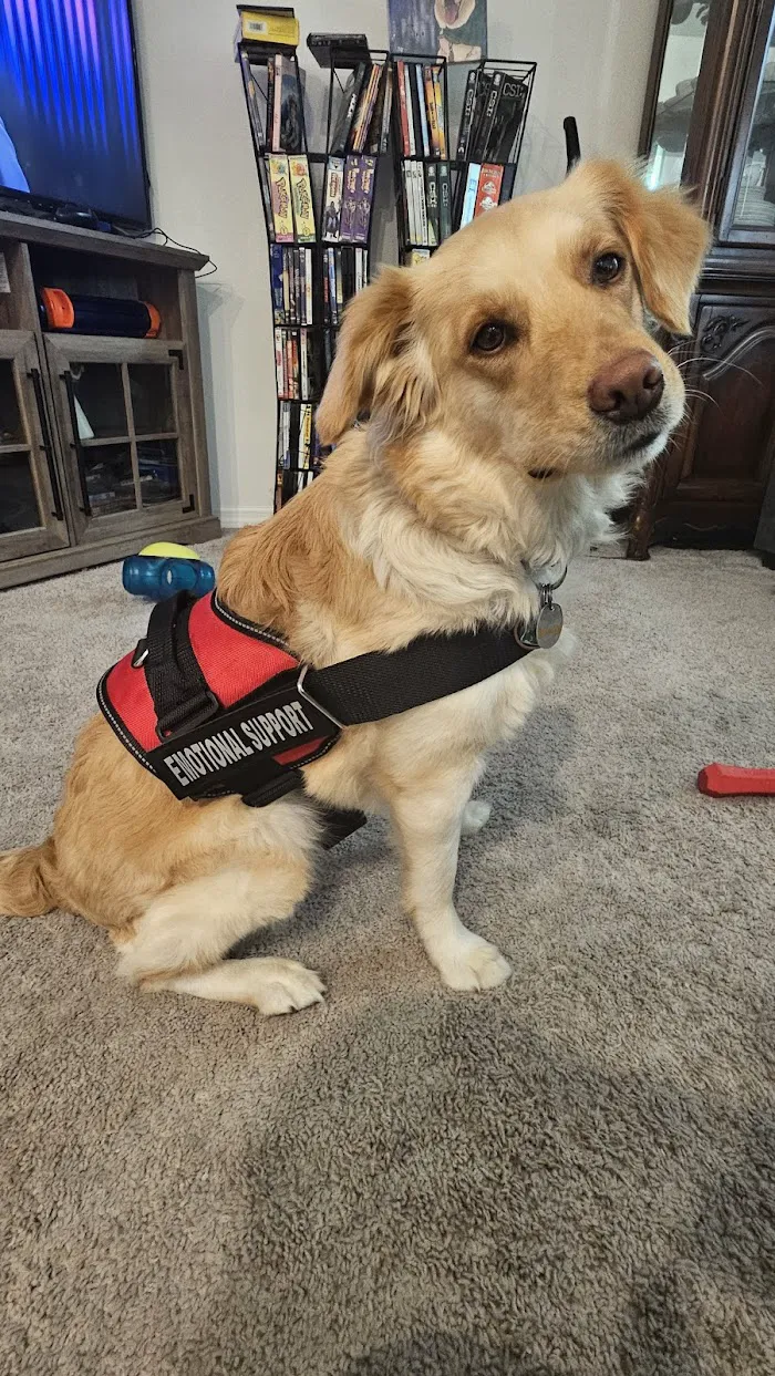 Banfield Pet Hospital 5