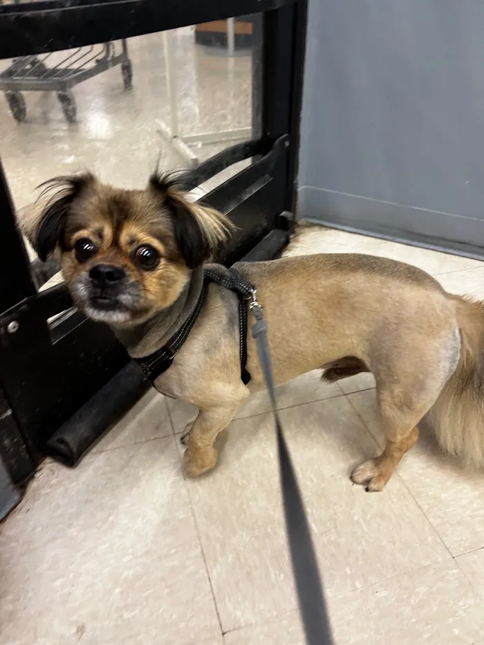 Banfield Pet Hospital 3