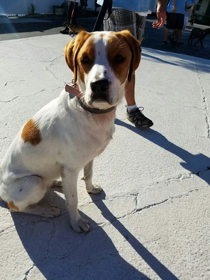 West End Animal Care Clinic 7