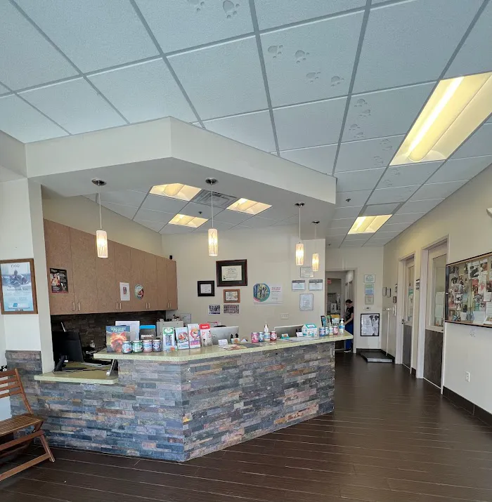 West End Animal Care Clinic 3