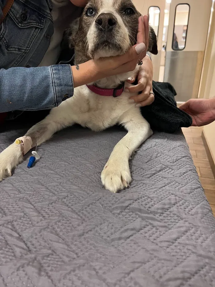 Allendale Animal Health Center 7