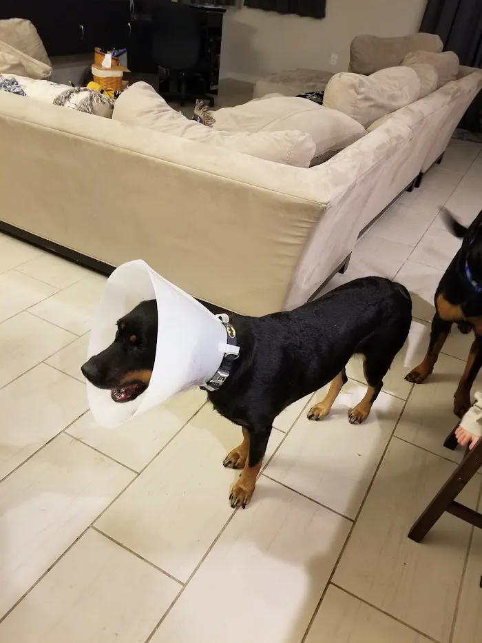 Osceola Animal Clinic 12