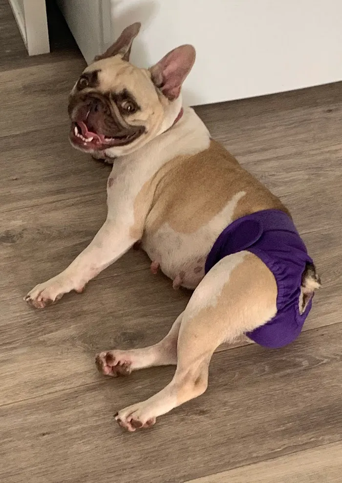 Osceola Animal Clinic 12