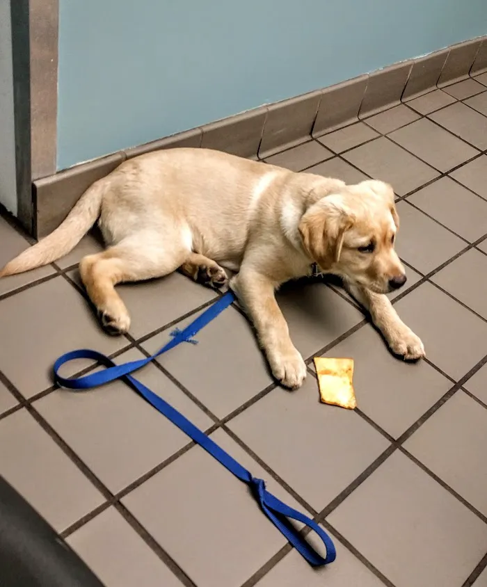 Osceola Animal Clinic 12