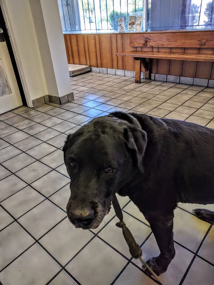 Osceola Animal Clinic 12