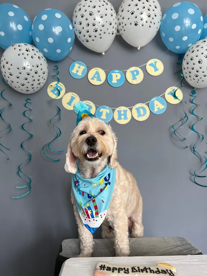 Banfield Pet Hospital 7
