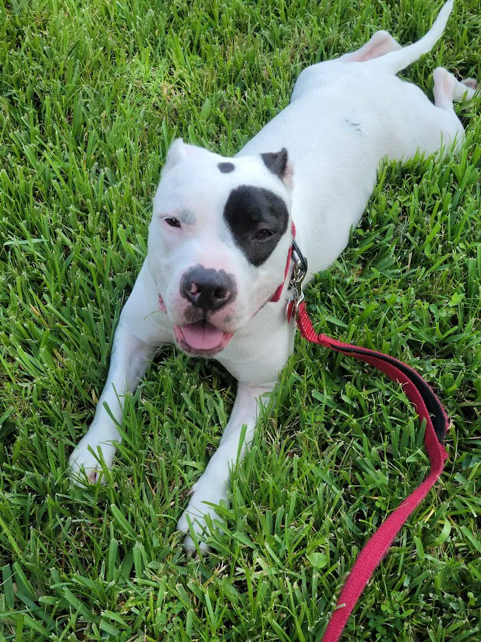 Banfield Pet Hospital 6