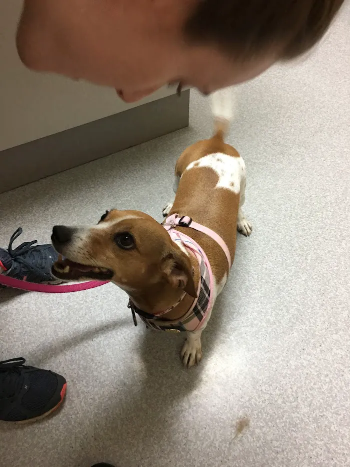 Hunter's Creek Animal Hospital 5