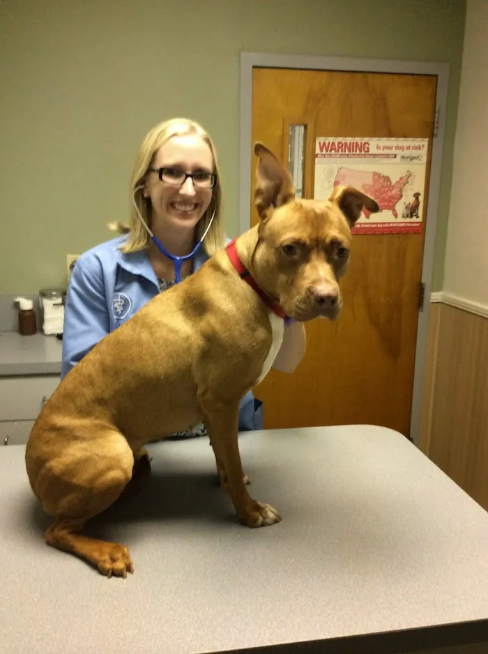 Hunter's Creek Animal Hospital 9