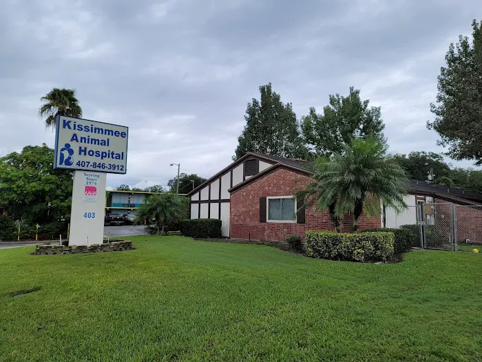 Kissimmee Animal Hospital 12