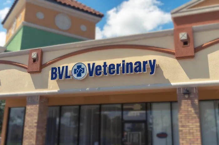 BVL Veterinary Hospital 12