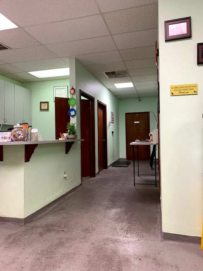 Osceola Animal Emergency Kissimmee Fl 34746 3