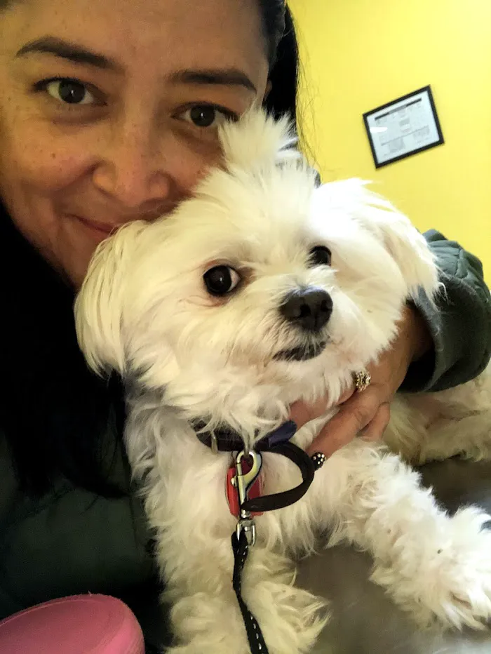 Mayfair Pet Hospital 12