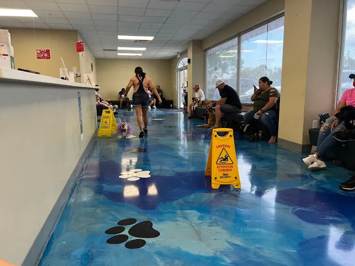 Mayfair Pet Hospital 12