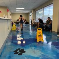 Mayfair Pet Hospital ico