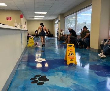 Mayfair Pet Hospital
