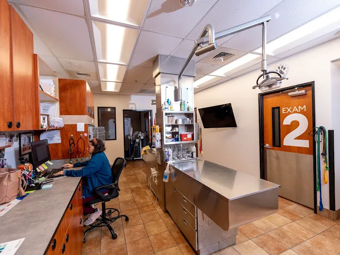 PetSmart Veterinary Services - Kissimmee 7