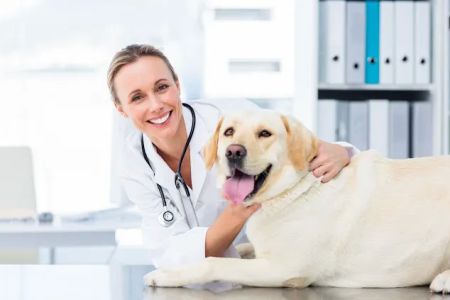 PetSmart Veterinary Services - Kissimmee