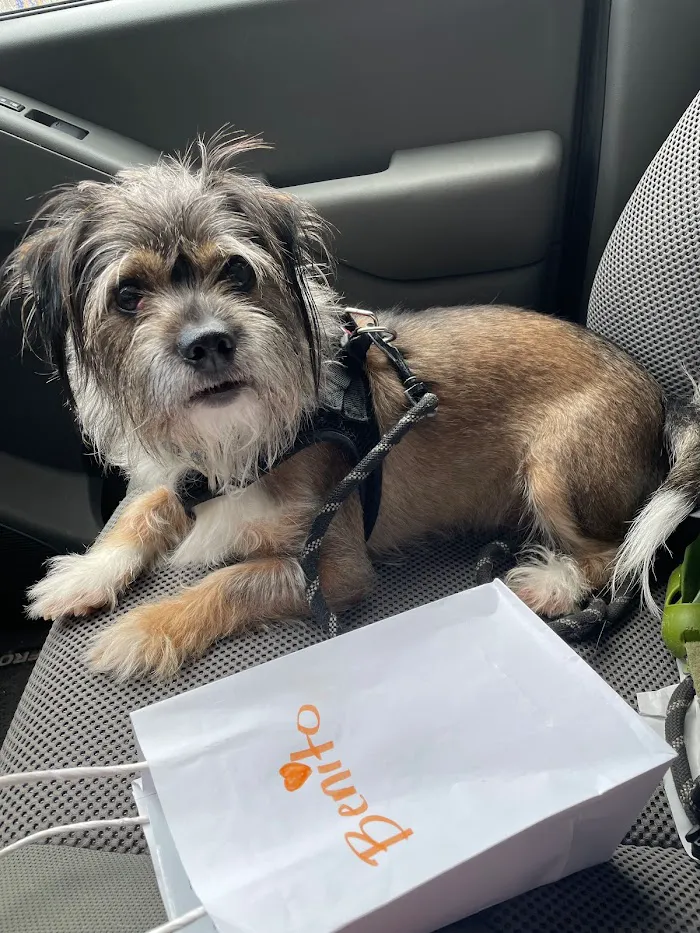 EVS Pet Urgent Care Of Kissimmee 9