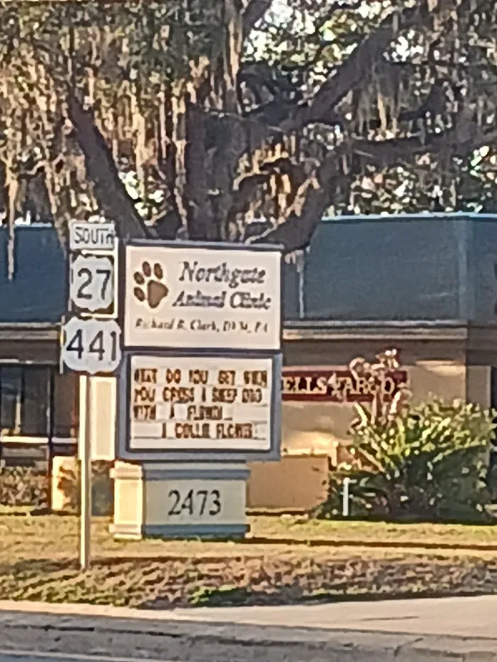 Northgate Animal Clinic 12