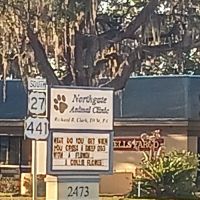 Northgate Animal Clinic ico