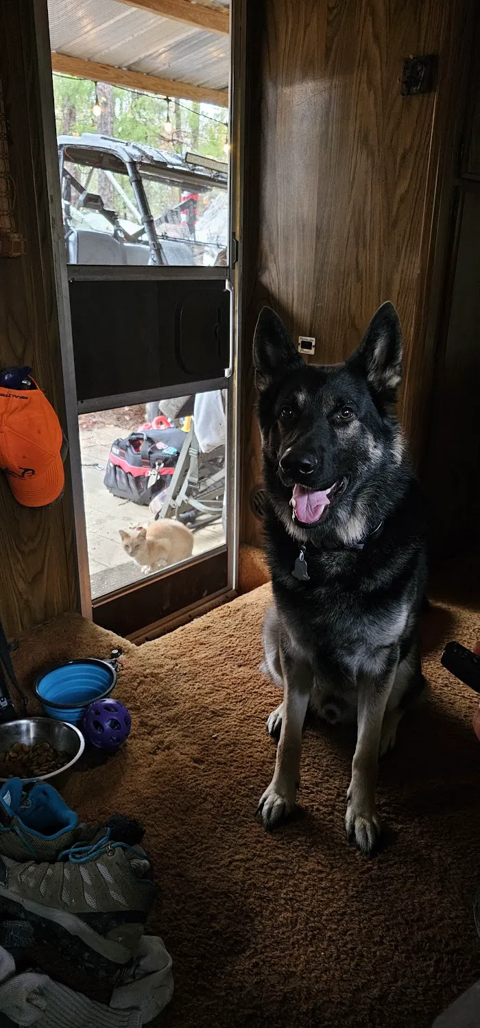 Northgate Animal Clinic 12