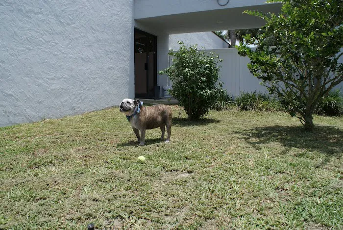 Merritt Animal Clinic 7